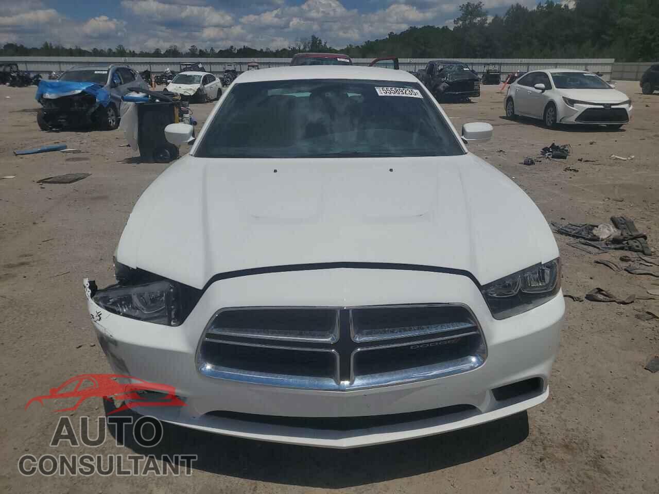 DODGE CHARGER 2013 - 2C3CDXBG0DH726175