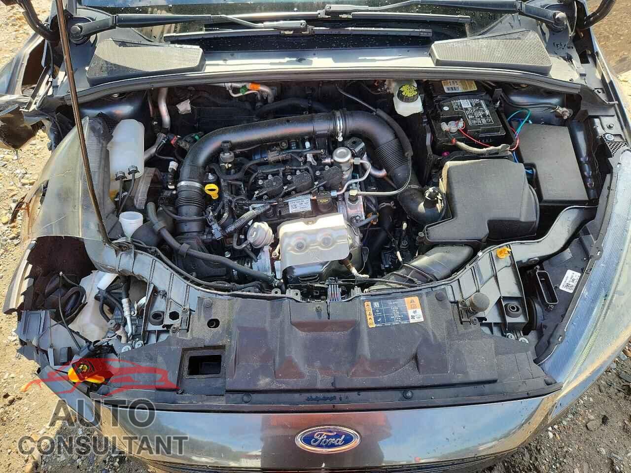 FORD FOCUS 2017 - 1FADP3FEXHL269558