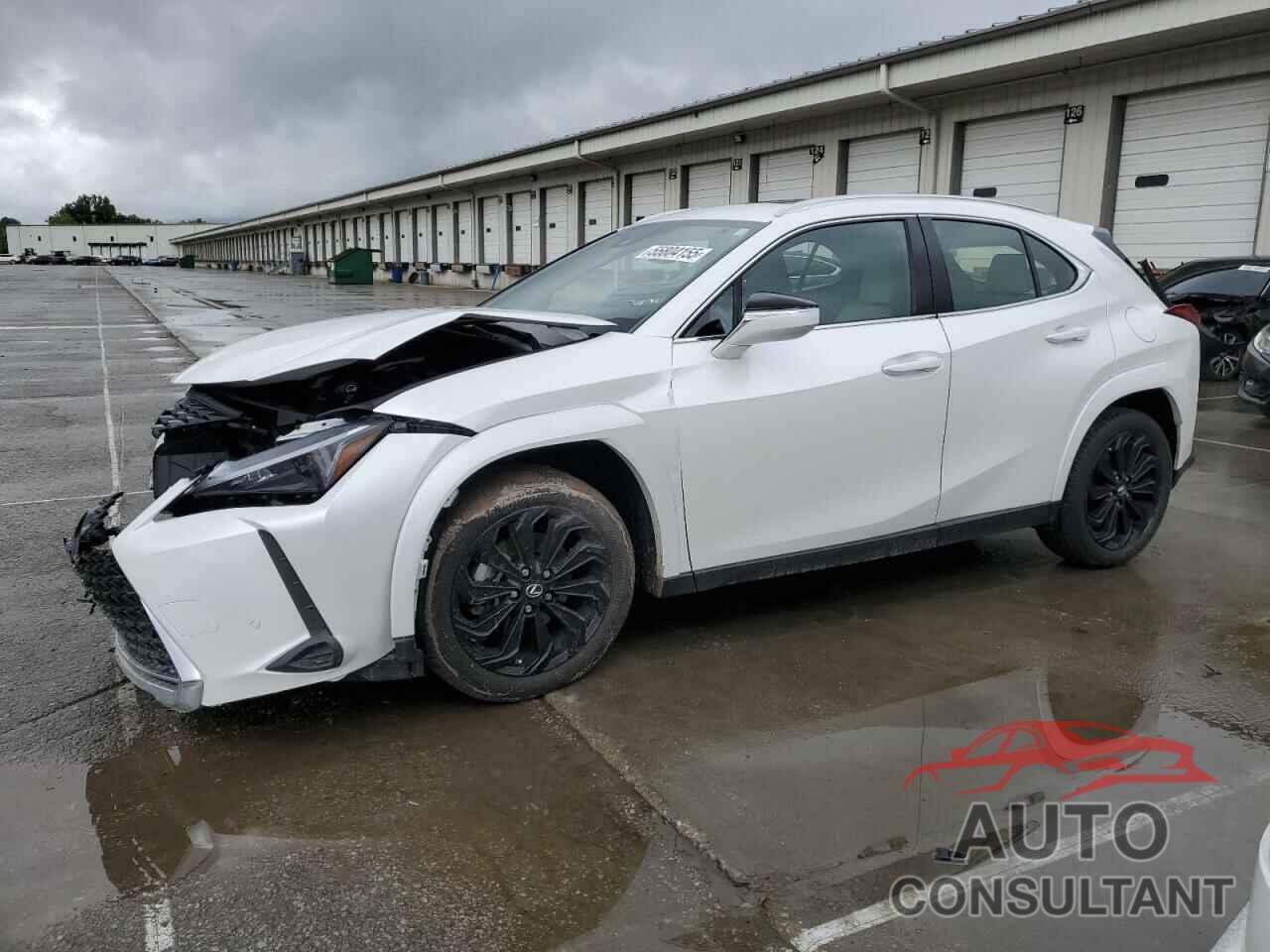 LEXUS UX 250H PR 2023 - JTHP9JBH5P2065064