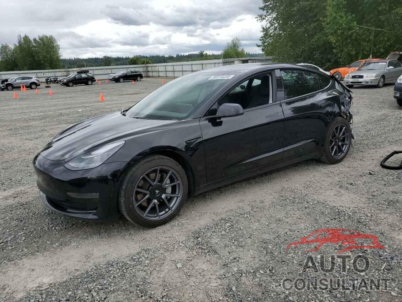 TESLA MODEL 3 2021 - 5YJ3E1EA5MF029703