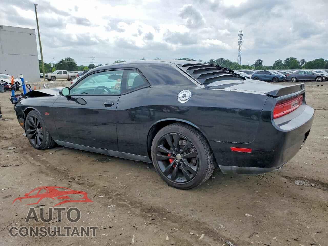 DODGE CHALLENGER 2013 - 2C3CDYCJ6DH674390