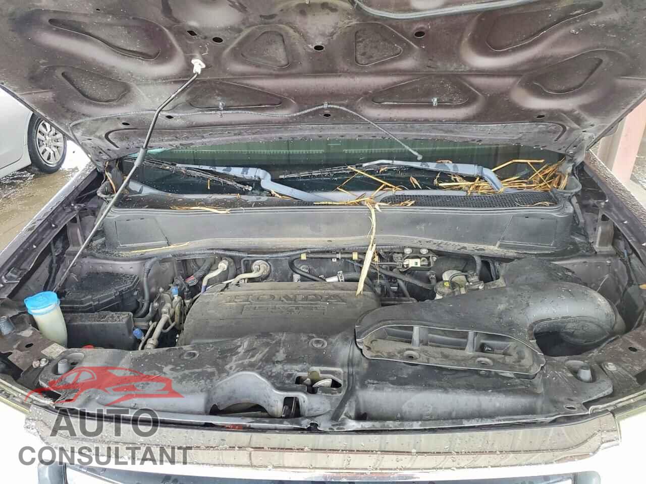 HONDA PILOT 2013 - 5FNYF3H25DB044088