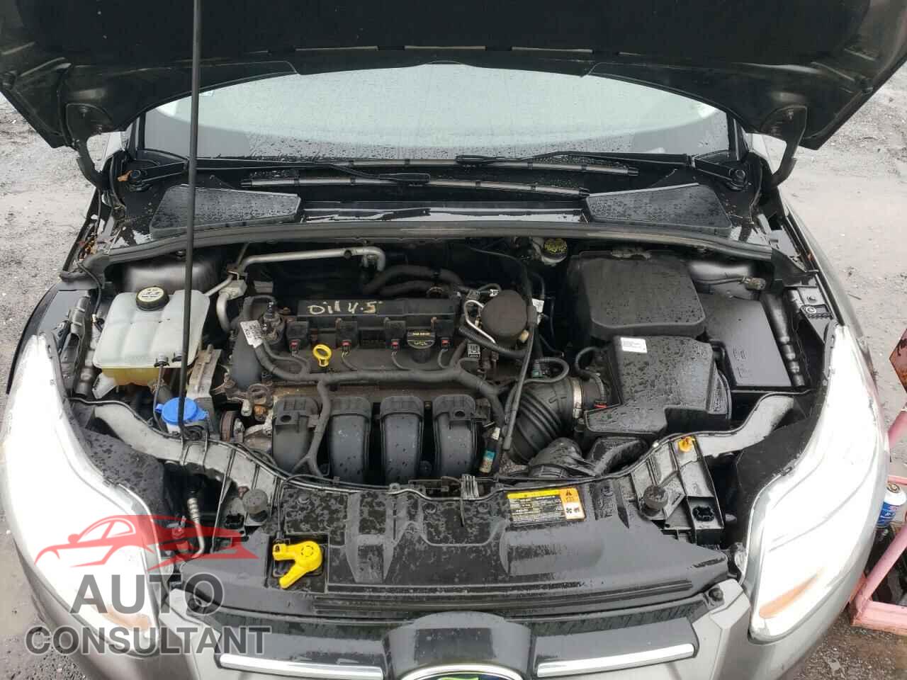 FORD FOCUS 2013 - 1FADP3E20DL173777