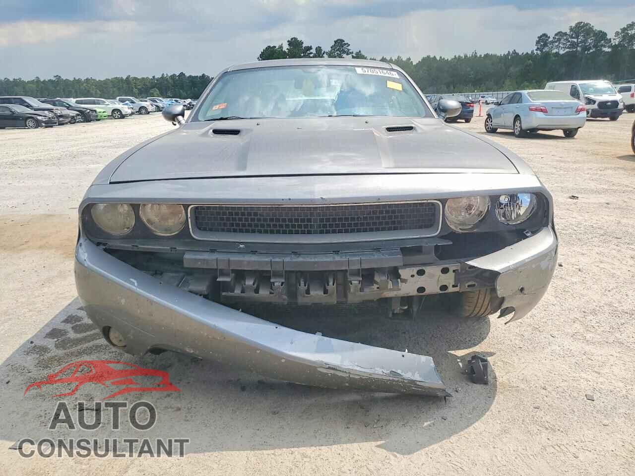 DODGE CHALLENGER 2012 - 2C3CDYAG2CH121225