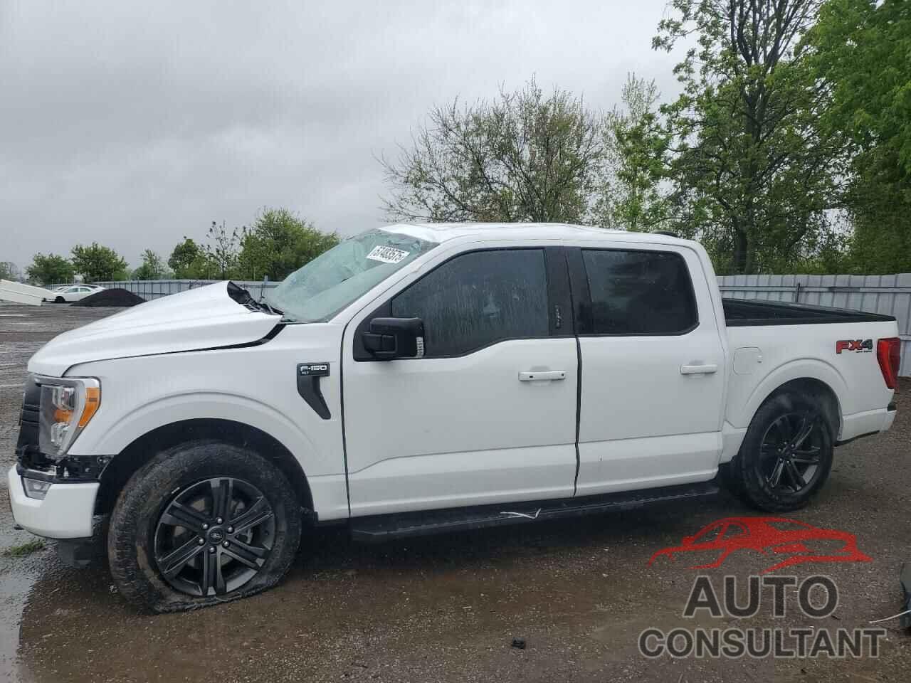 FORD F-150 2021 - 1FTEW1EP1MFA64051