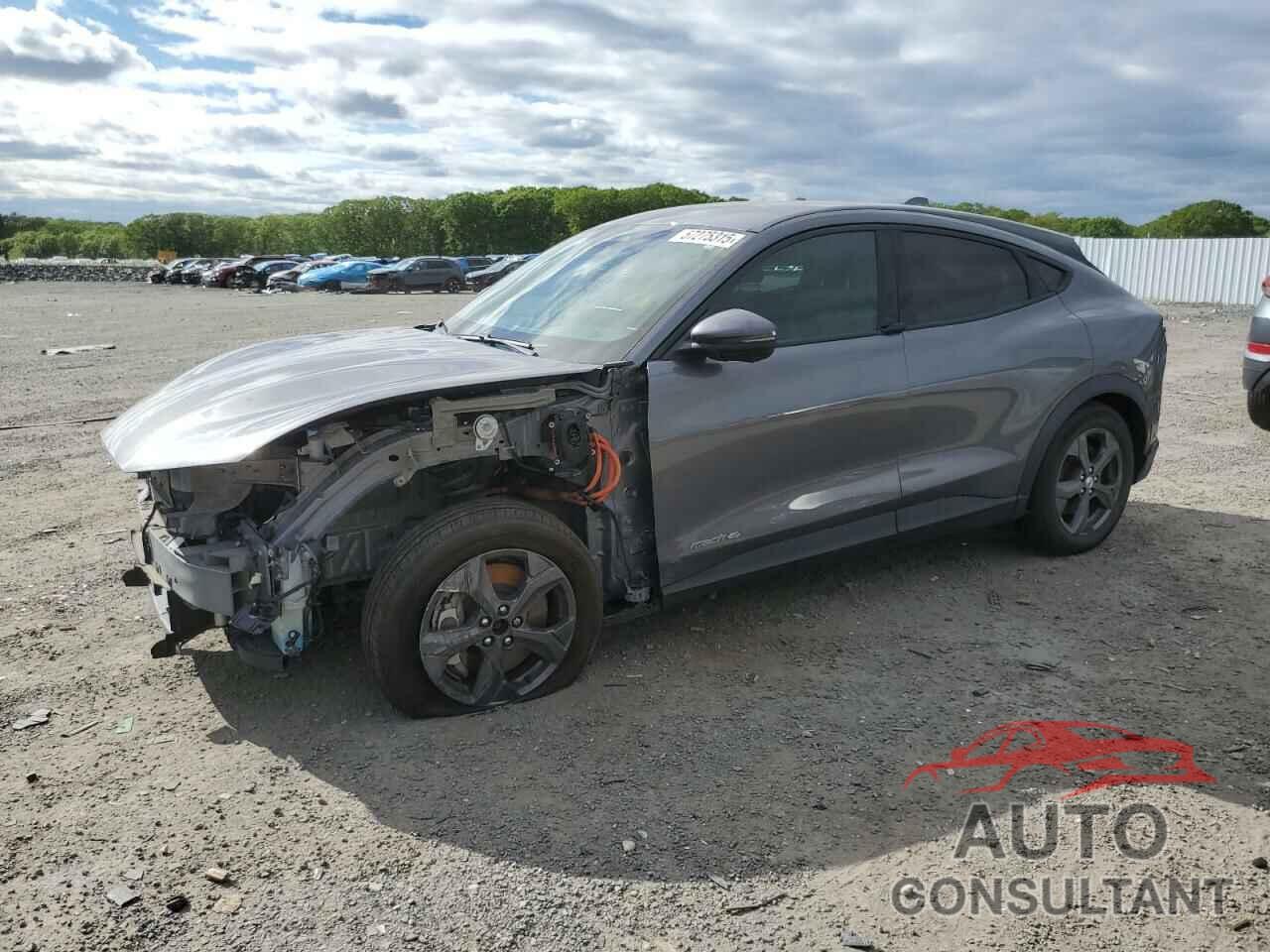 FORD MUSTANG 2021 - 3FMTK1SSXMMA34697