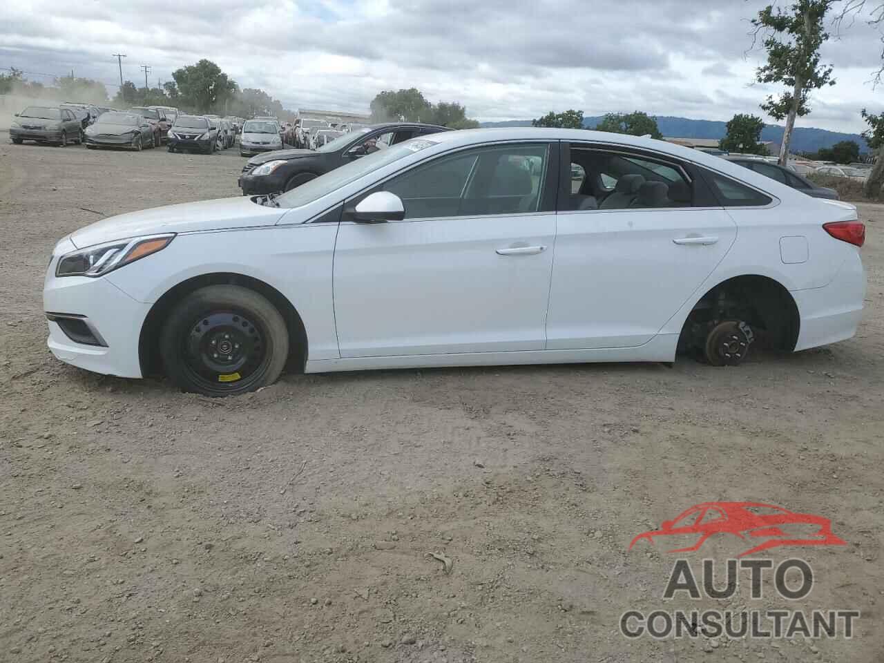 HYUNDAI SONATA 2017 - 5NPE24AF8HH451721