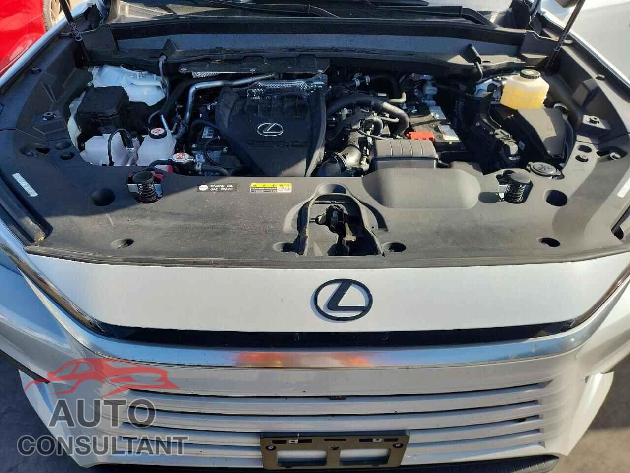 LEXUS UNKNOWN 2026 - 5TDAAAB6XTS053976