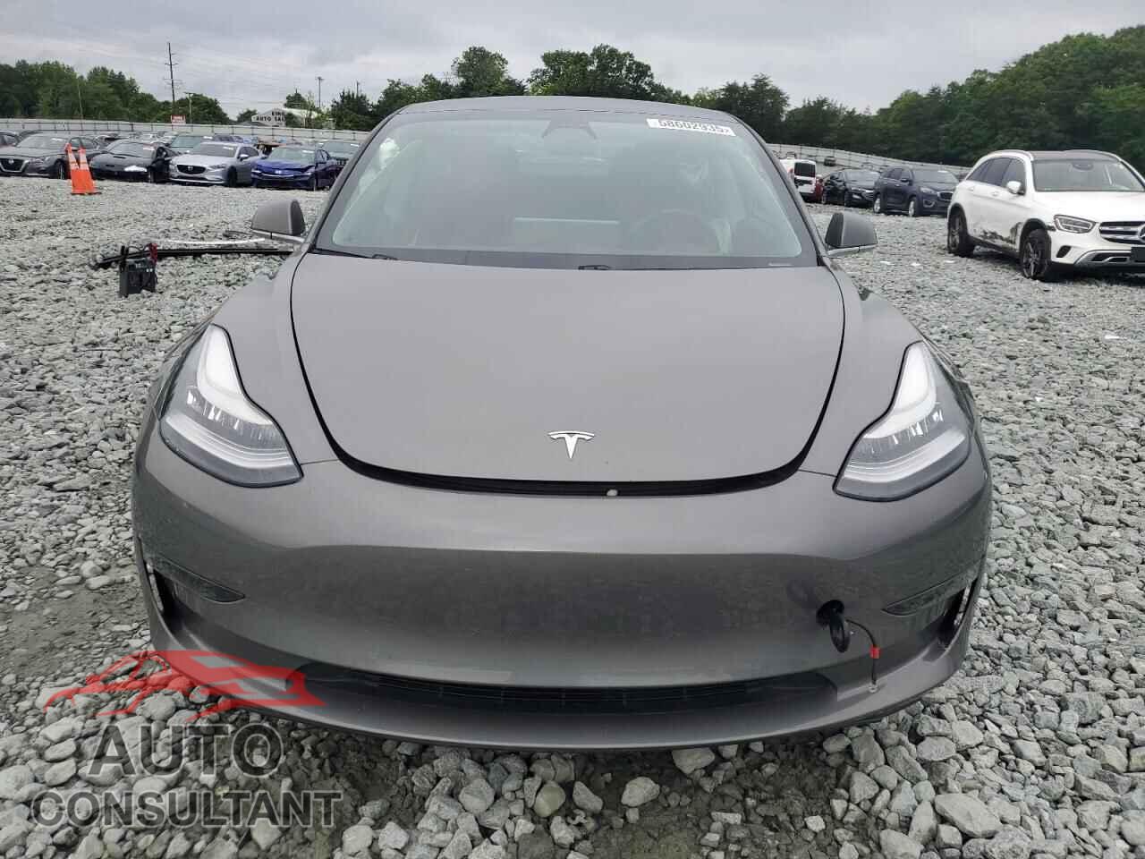 TESLA MODEL 3 2019 - 5YJ3E1EA3KF435363
