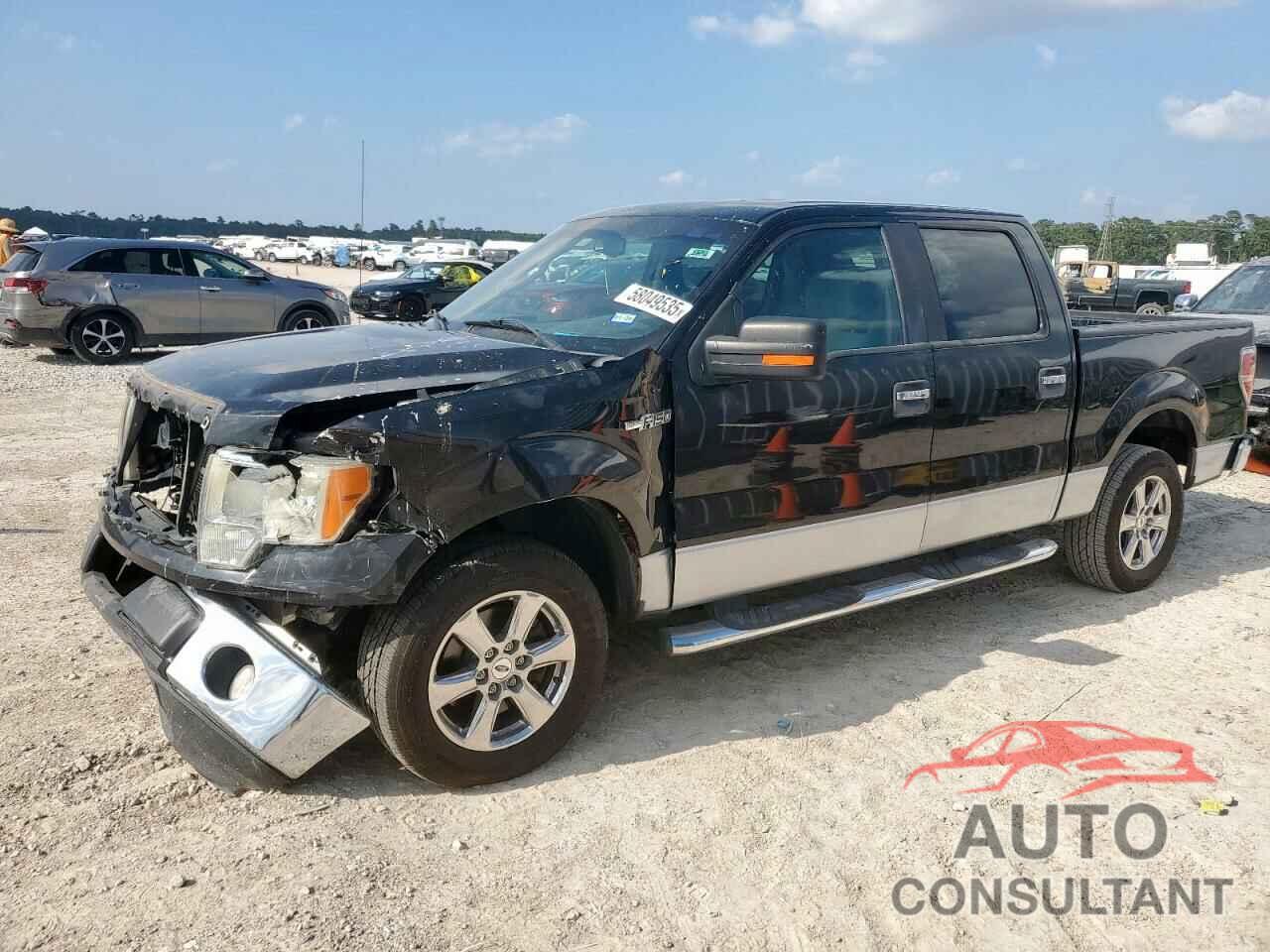 FORD F-150 2010 - 1FTEW1C87AFA64045