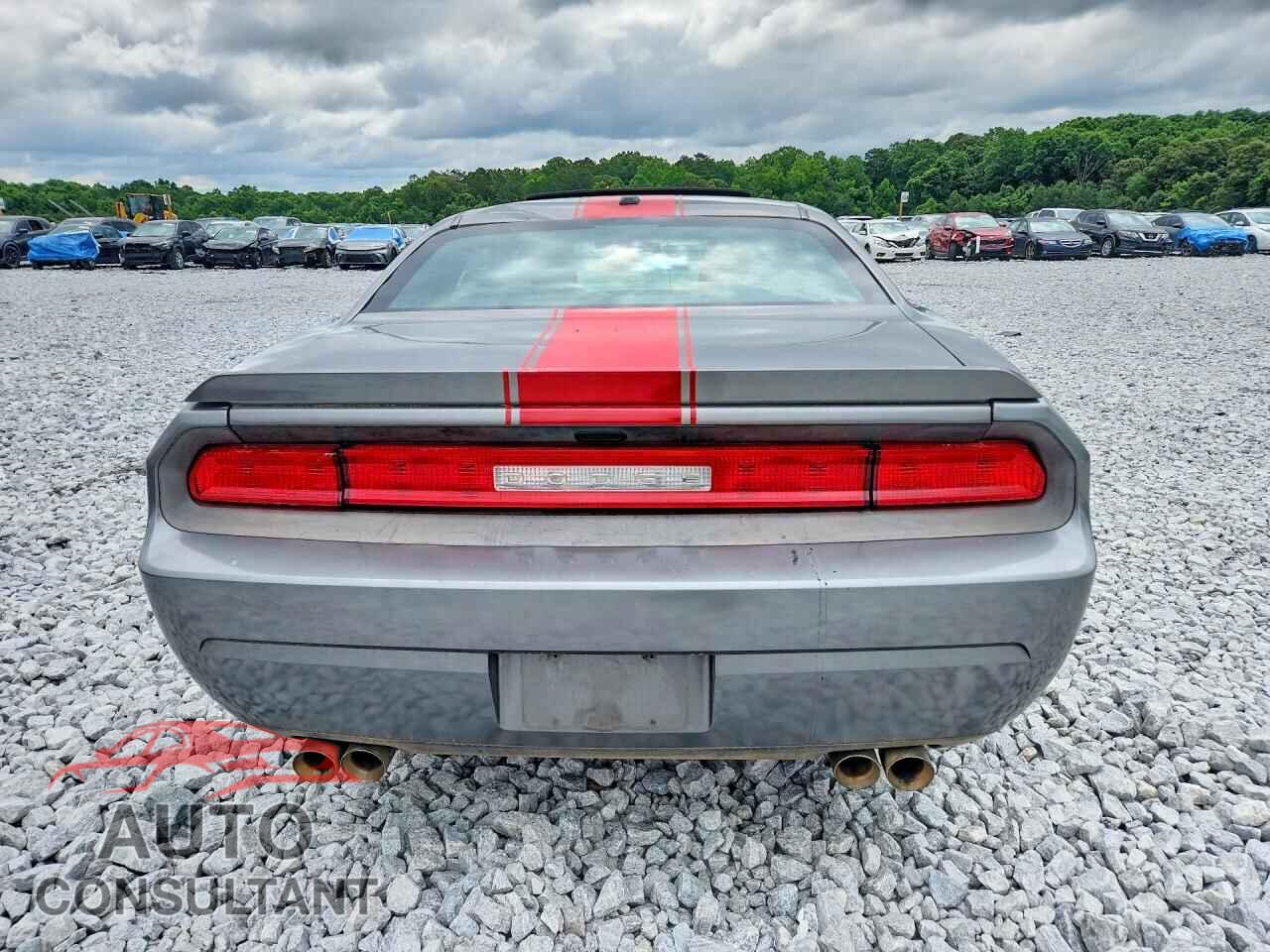 DODGE CHALLENGER 2012 - 2C3CDYAG1CH294041