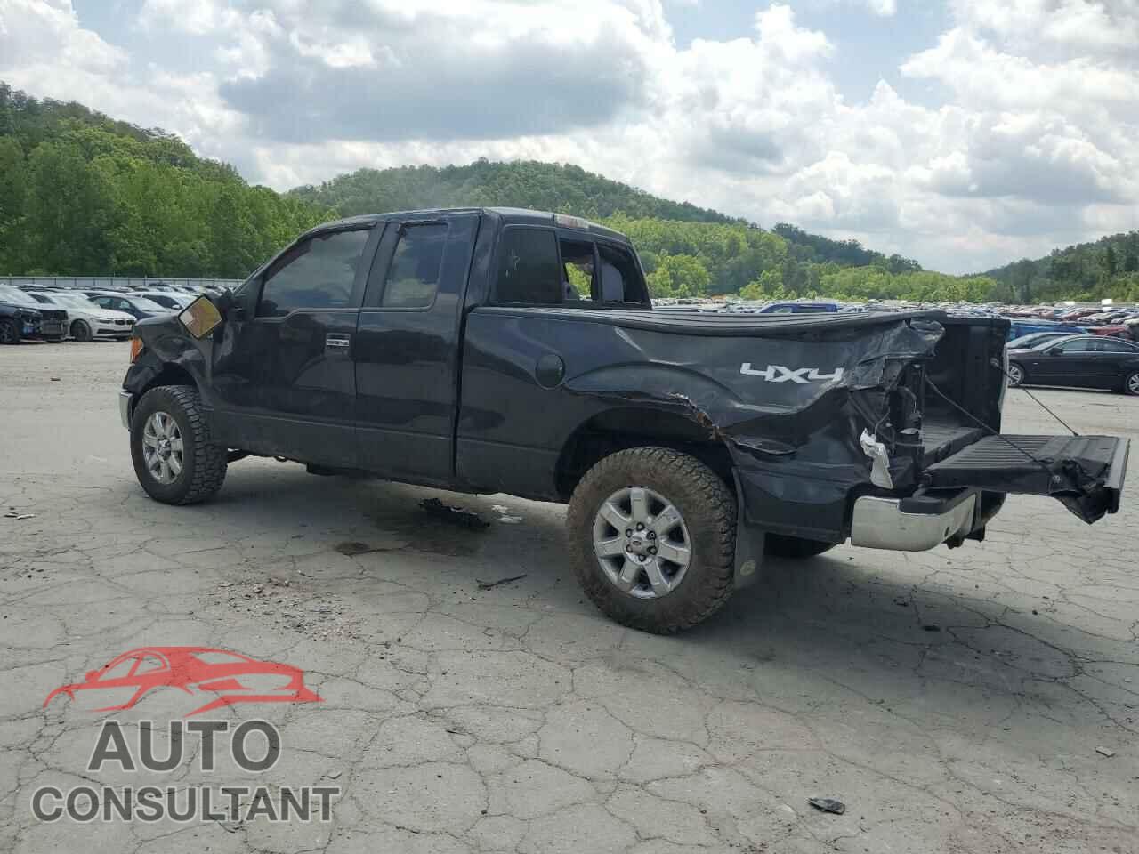 FORD F-150 2013 - 1FTFX1EF1DFA59005