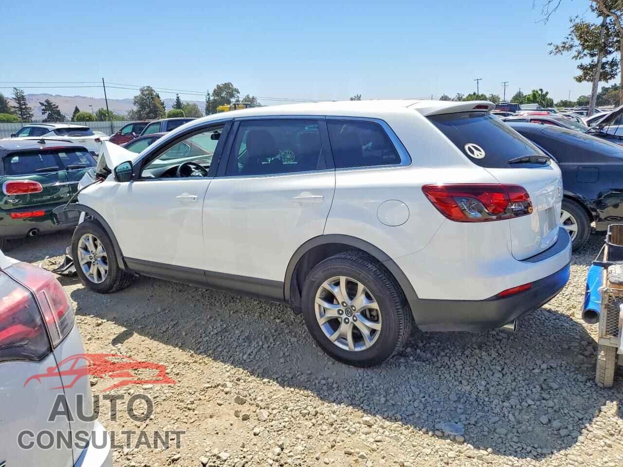 MAZDA CX-9 2014 - JM3TB2BV3E0443835