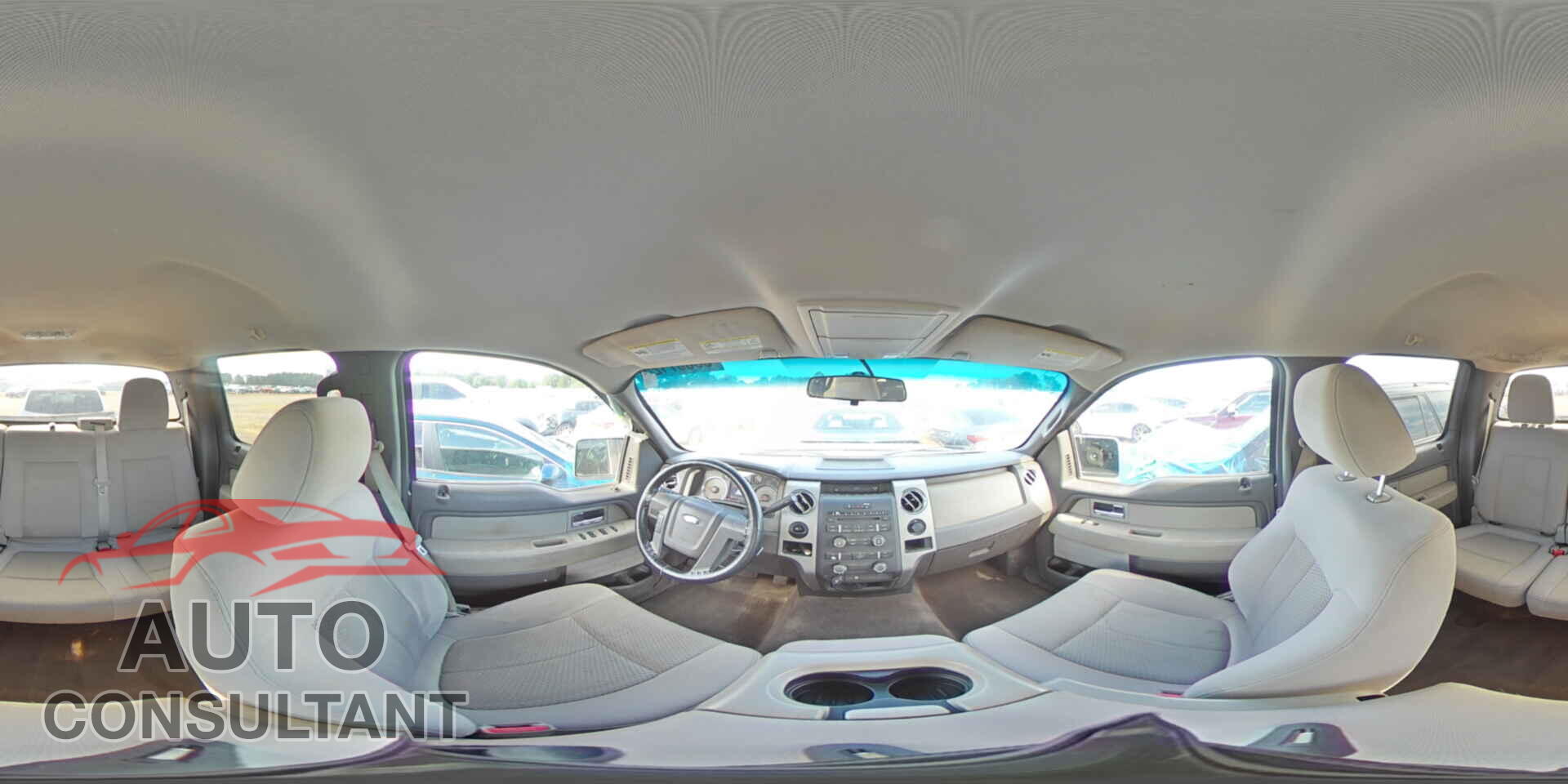 FORD F-150 2010 - 1FTEW1C83AFB54714