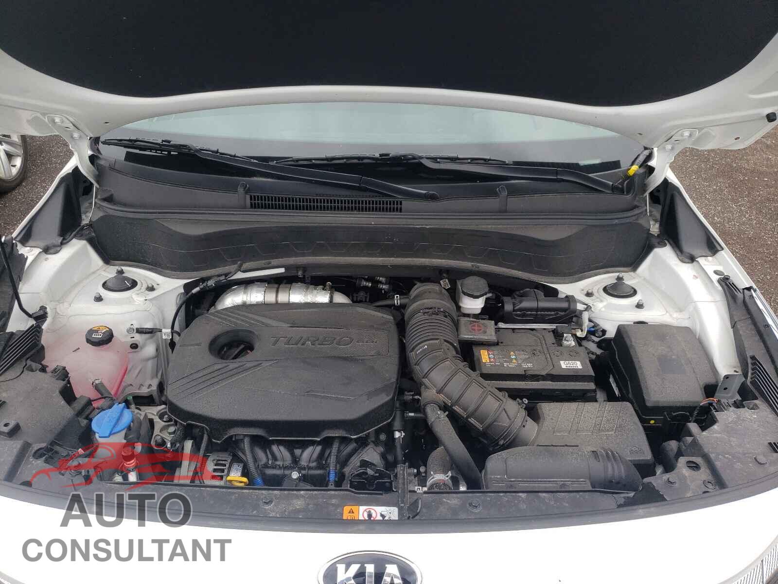 KIA SELTOS 2021 - KNDETCA22M7175880