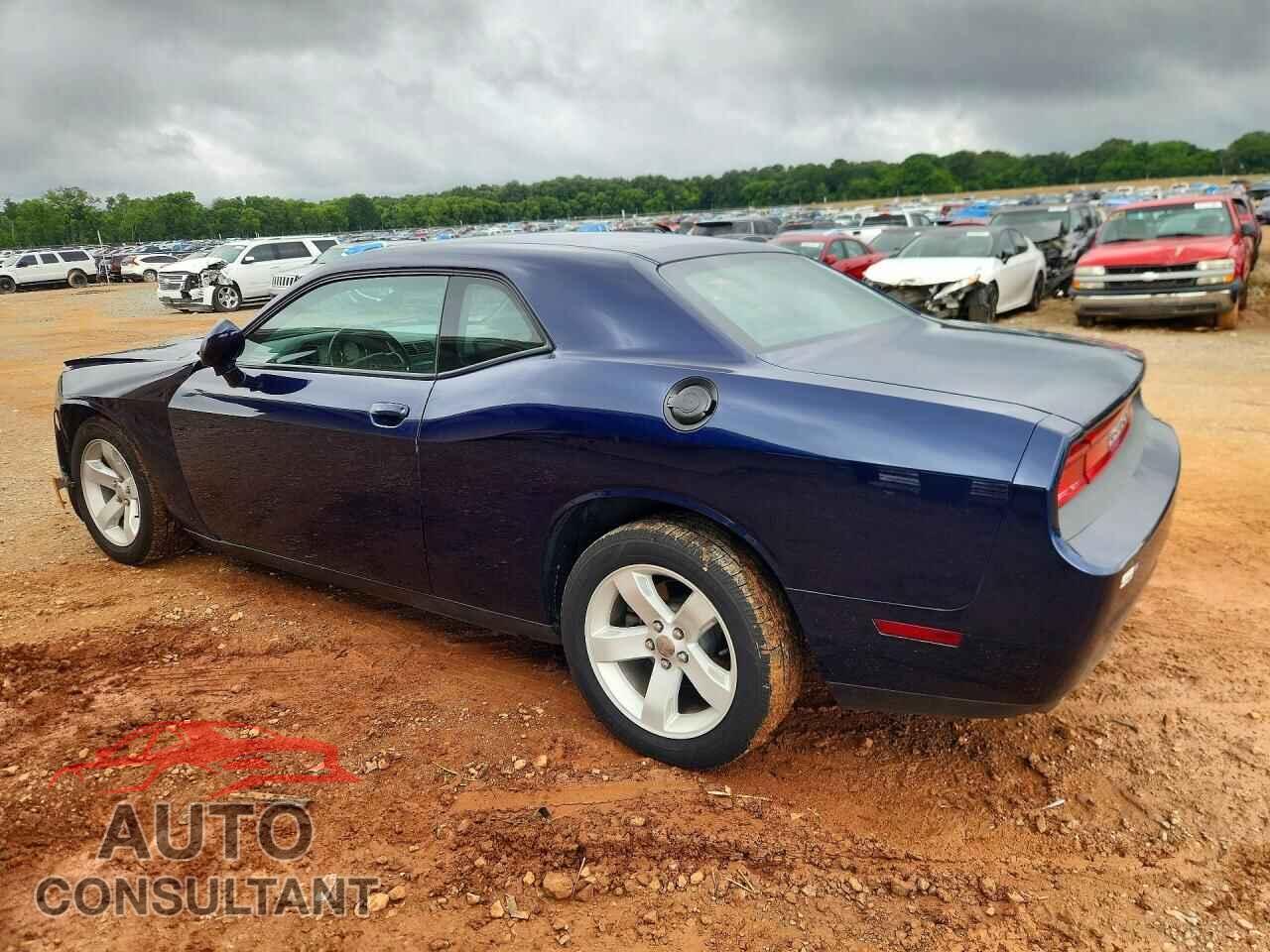 DODGE CHALLENGER 2013 - 2C3CDYAG7DH607806