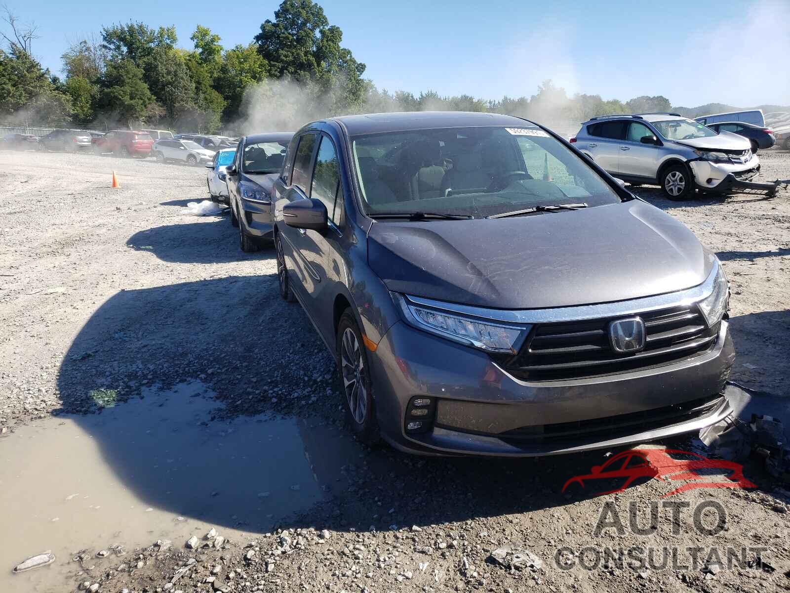 HONDA ODYSSEY 2022 - 5FNRL6H73NB023560