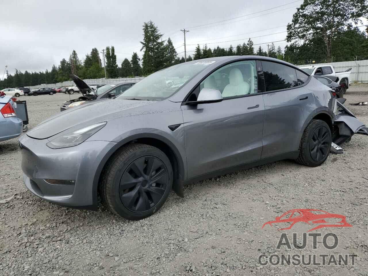 TESLA MODEL Y 2024 - 7SAYGAEE1RF179143