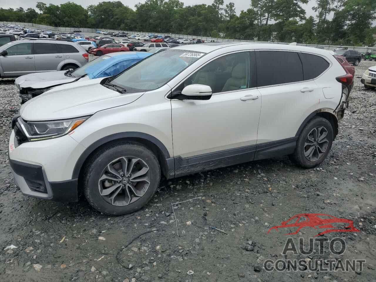 HONDA CRV 2020 - 7FARW1H59LE004988