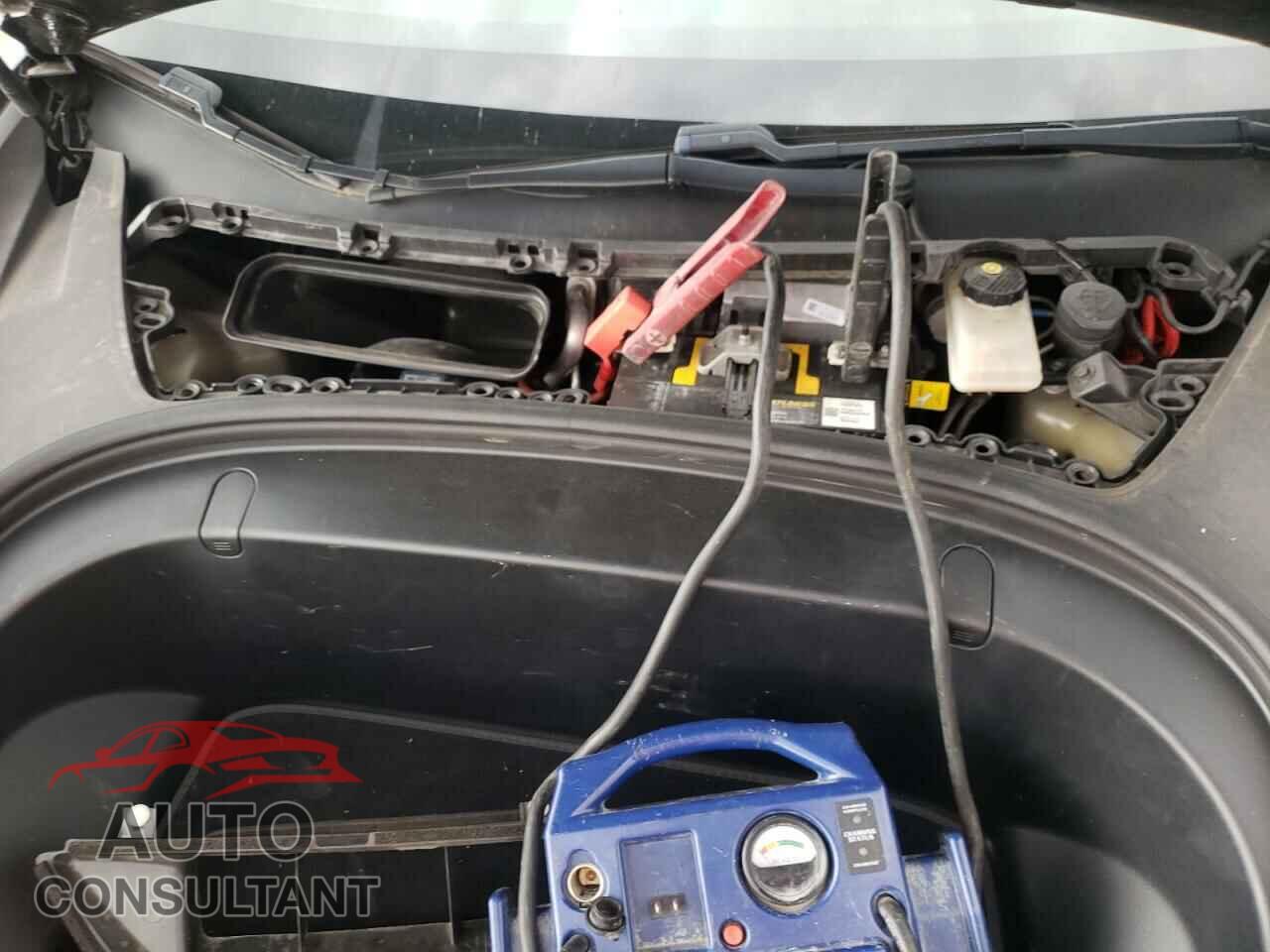 TESLA MODEL 3 2019 - 5YJ3E1EB5KF441982