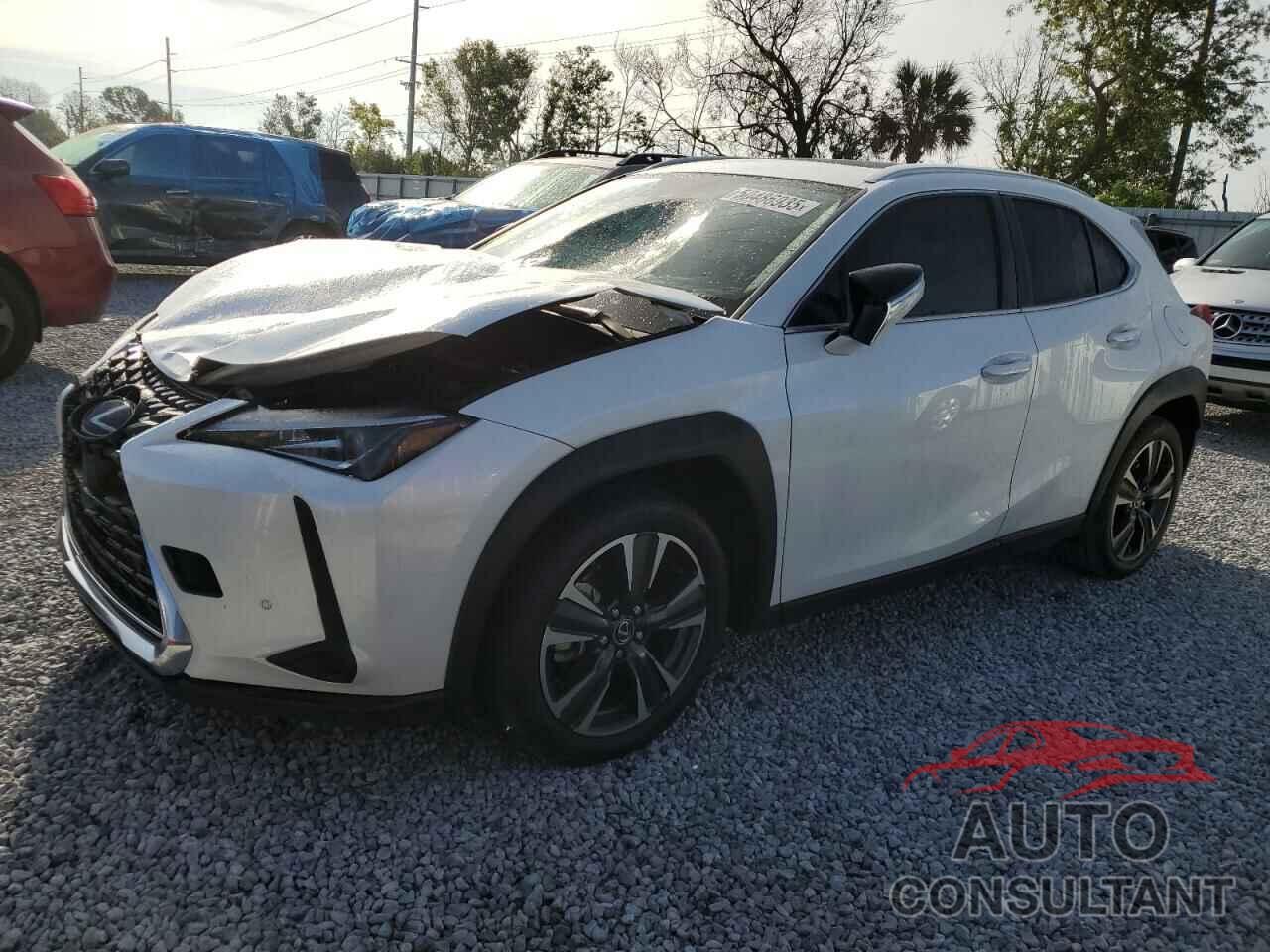 LEXUS UX 200 BAS 2022 - JTHX3JBH5N2048750