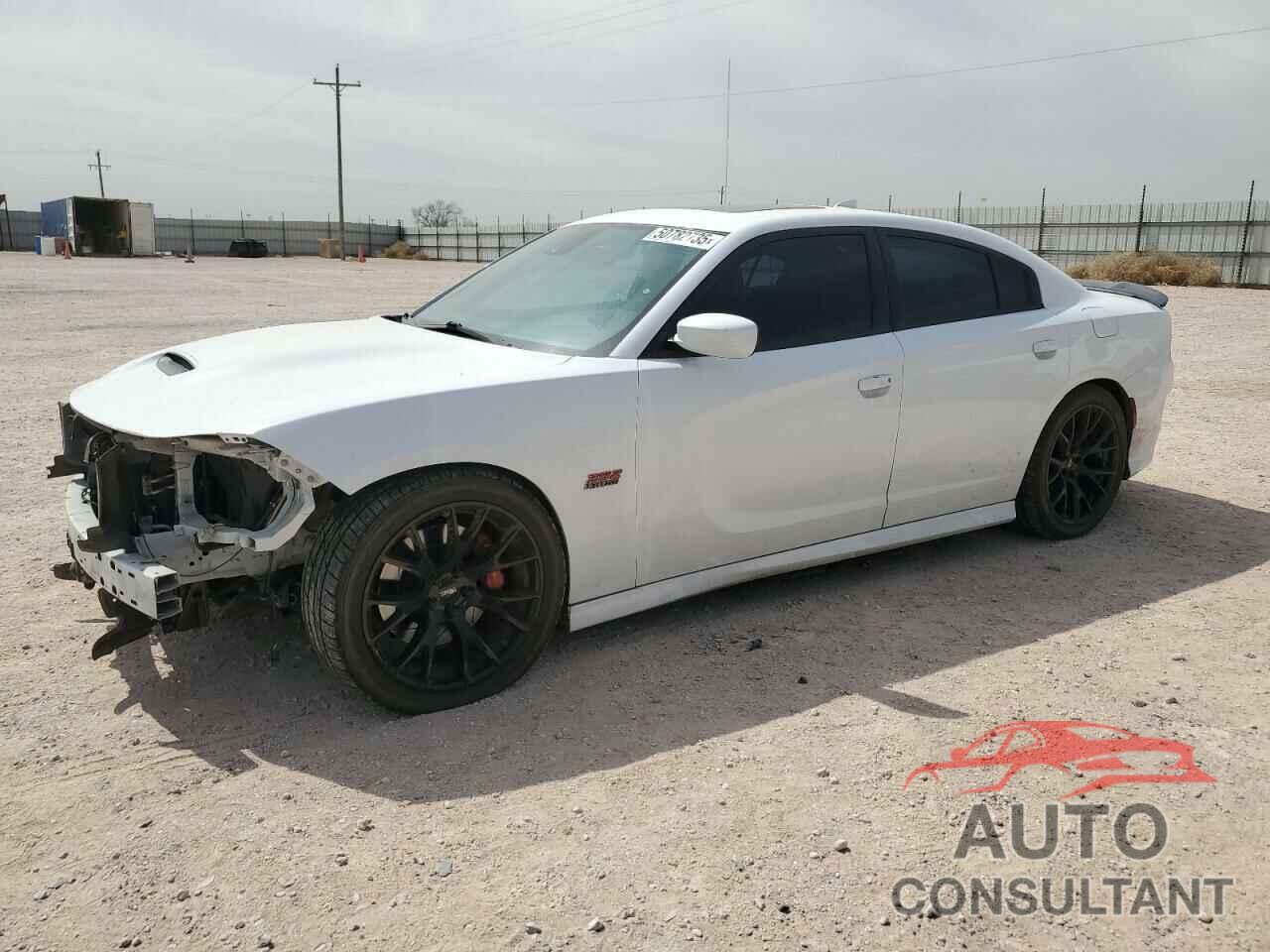 DODGE CHARGER 2015 - 2C3CDXGJ6FH838941