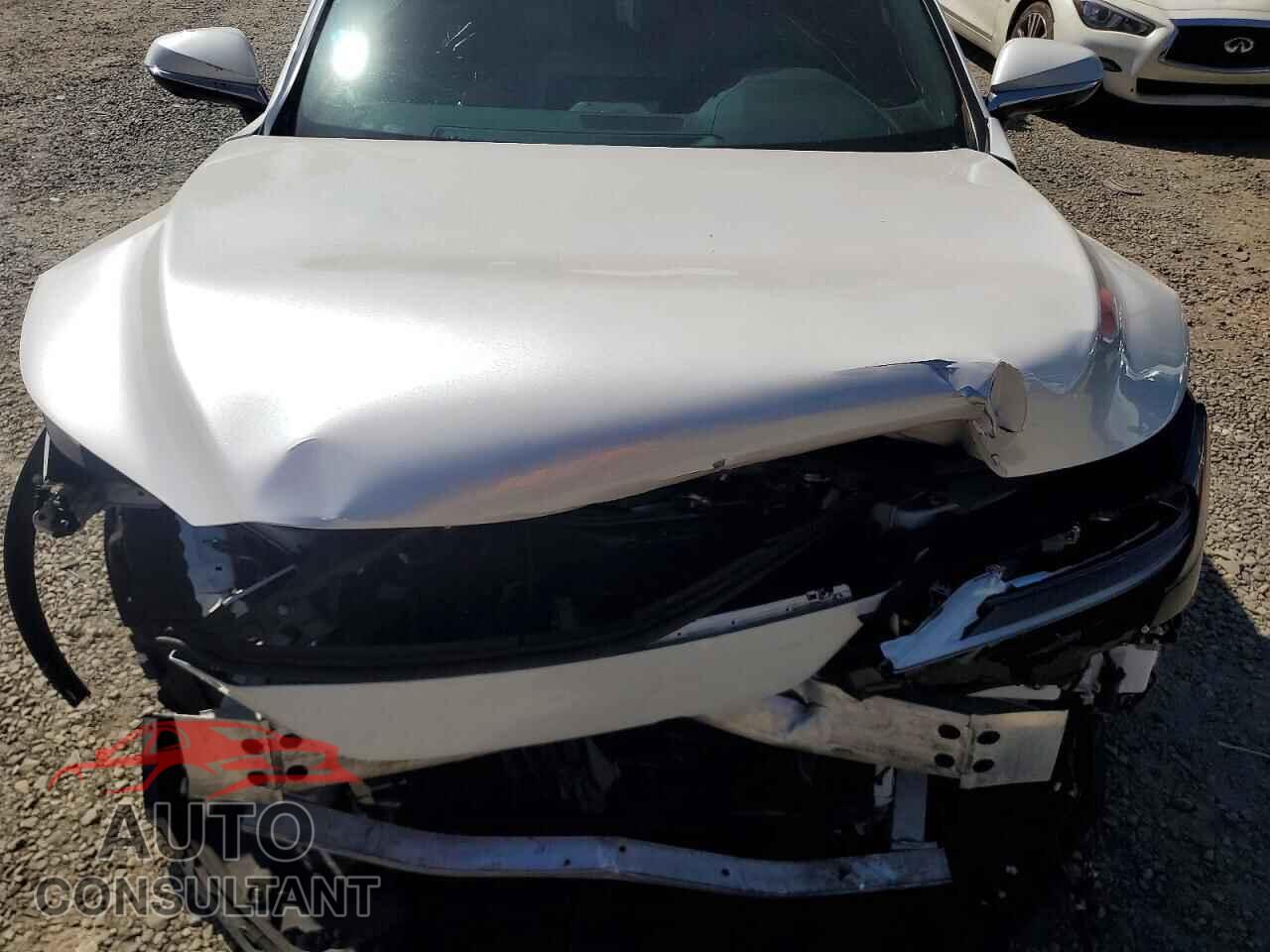 LEXUS RX350 2023 - 2T2BAMCA7PC028035
