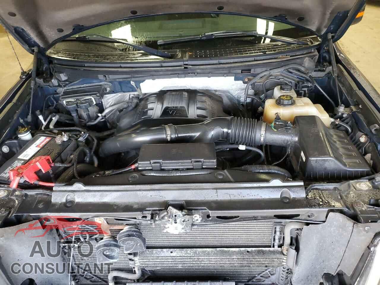 FORD F-150 2012 - 1FTFX1ET3CFA19528