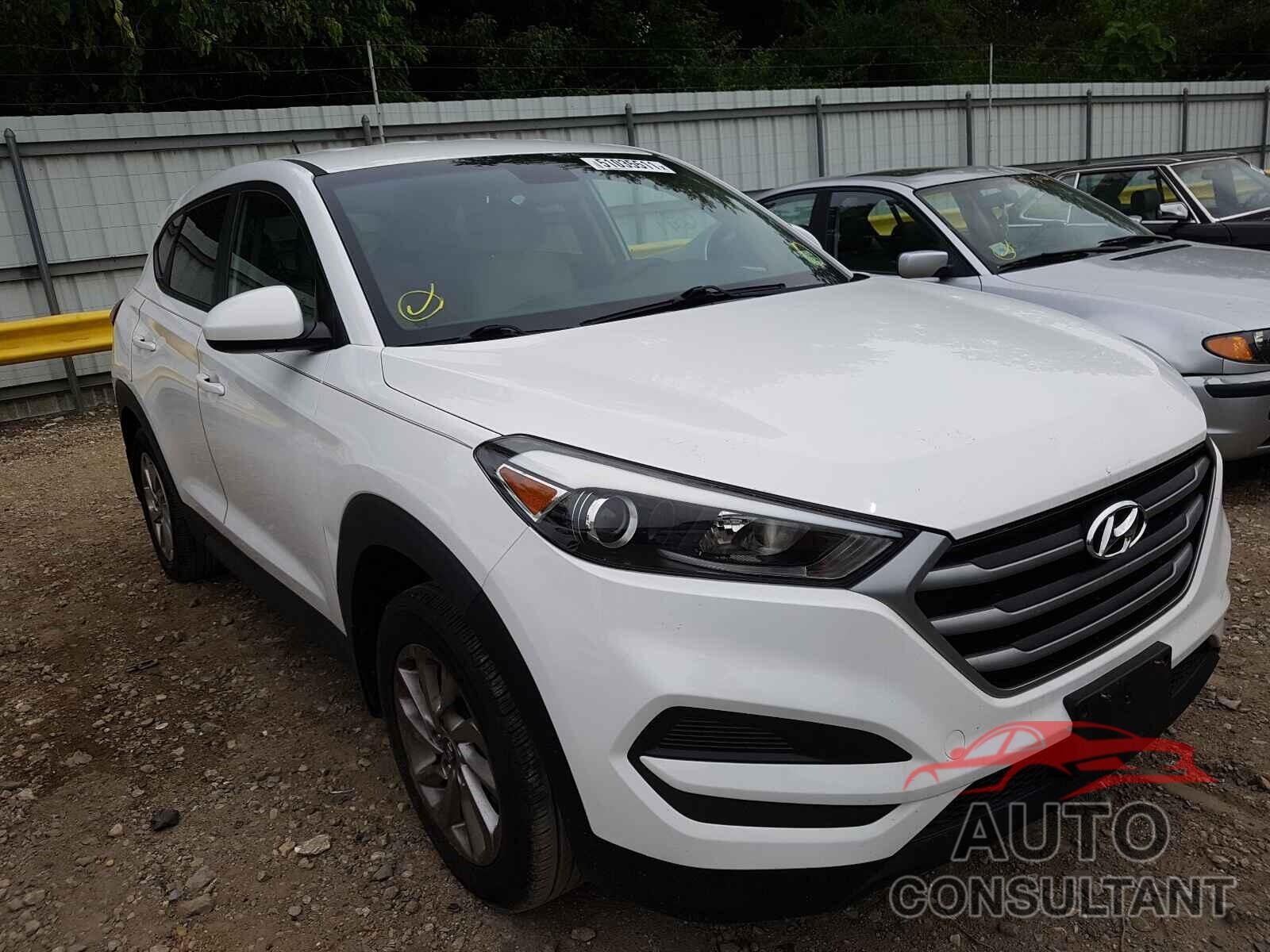 HYUNDAI TUCSON 2017 - KM8J23A46HU266642