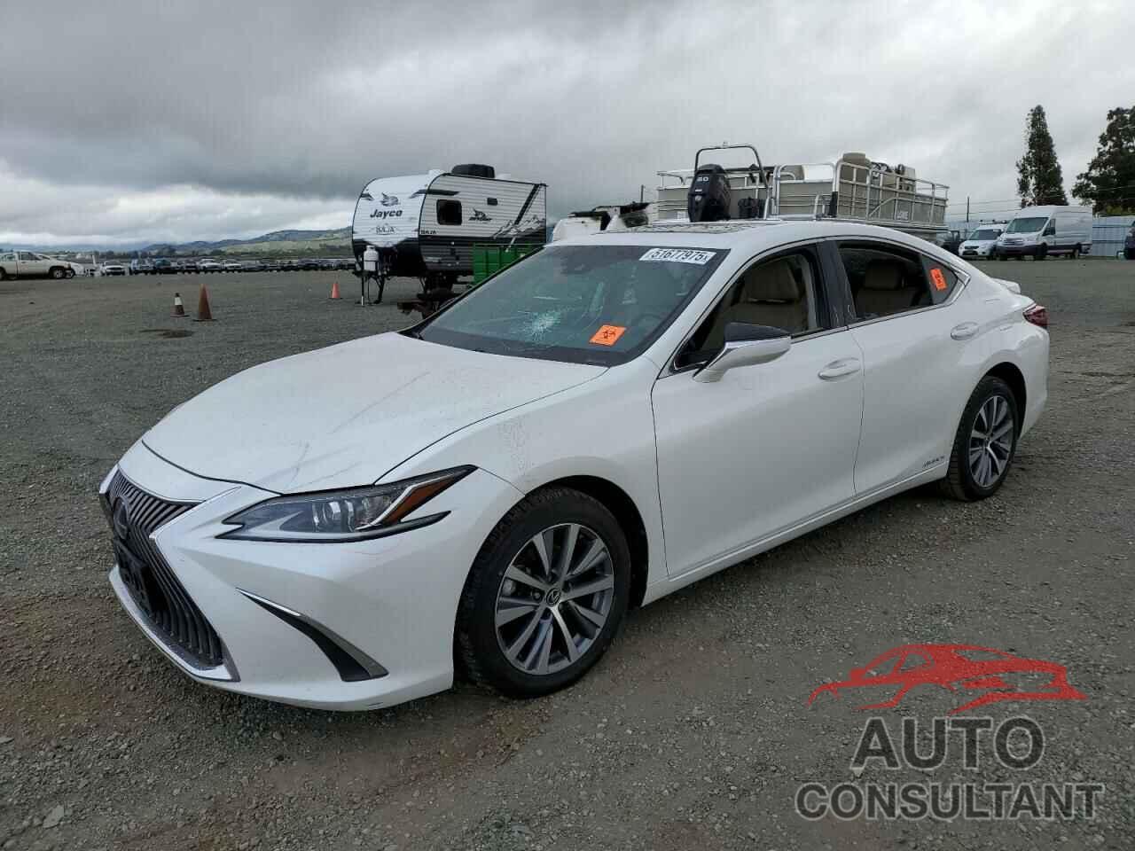 LEXUS ES300 2021 - 58ACA1C10MU011247