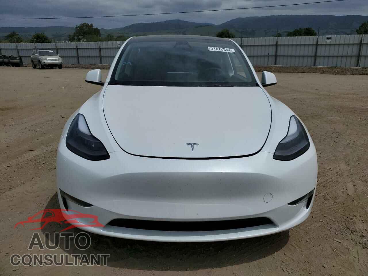 TESLA MODEL Y 2023 - 7SAYGDEE0PF812052