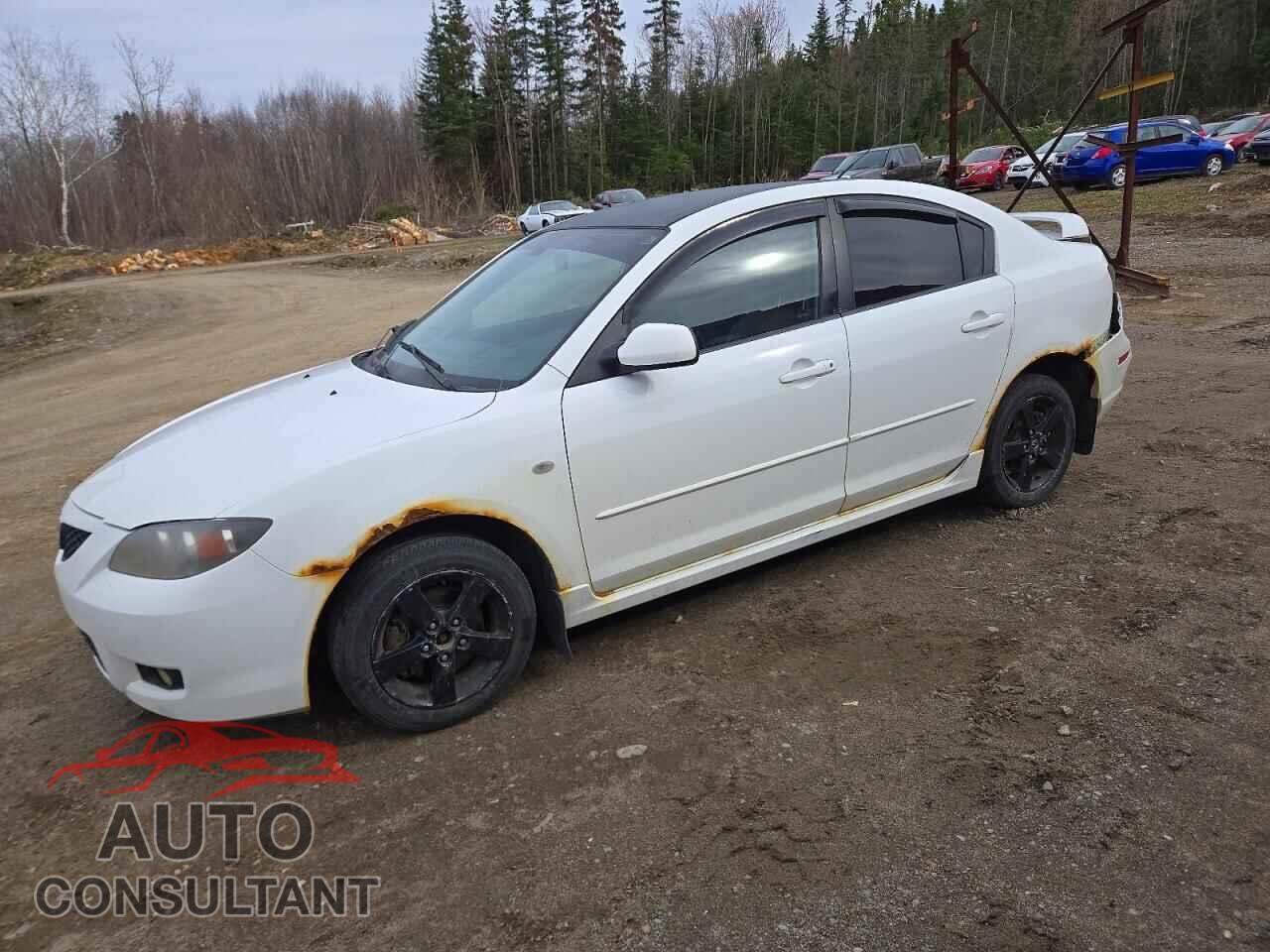 MAZDA 3 2009 - JM1BK32F891251765