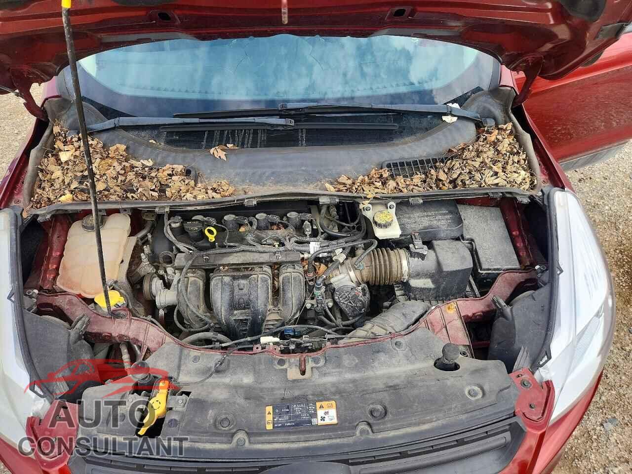 FORD ESCAPE 2014 - 1FMCU0F71EUB41418