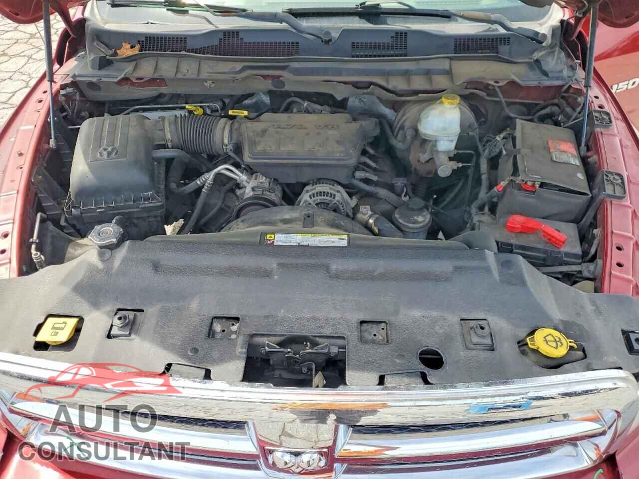 DODGE All Models 2011 - 1D7RB1GP4BS615710