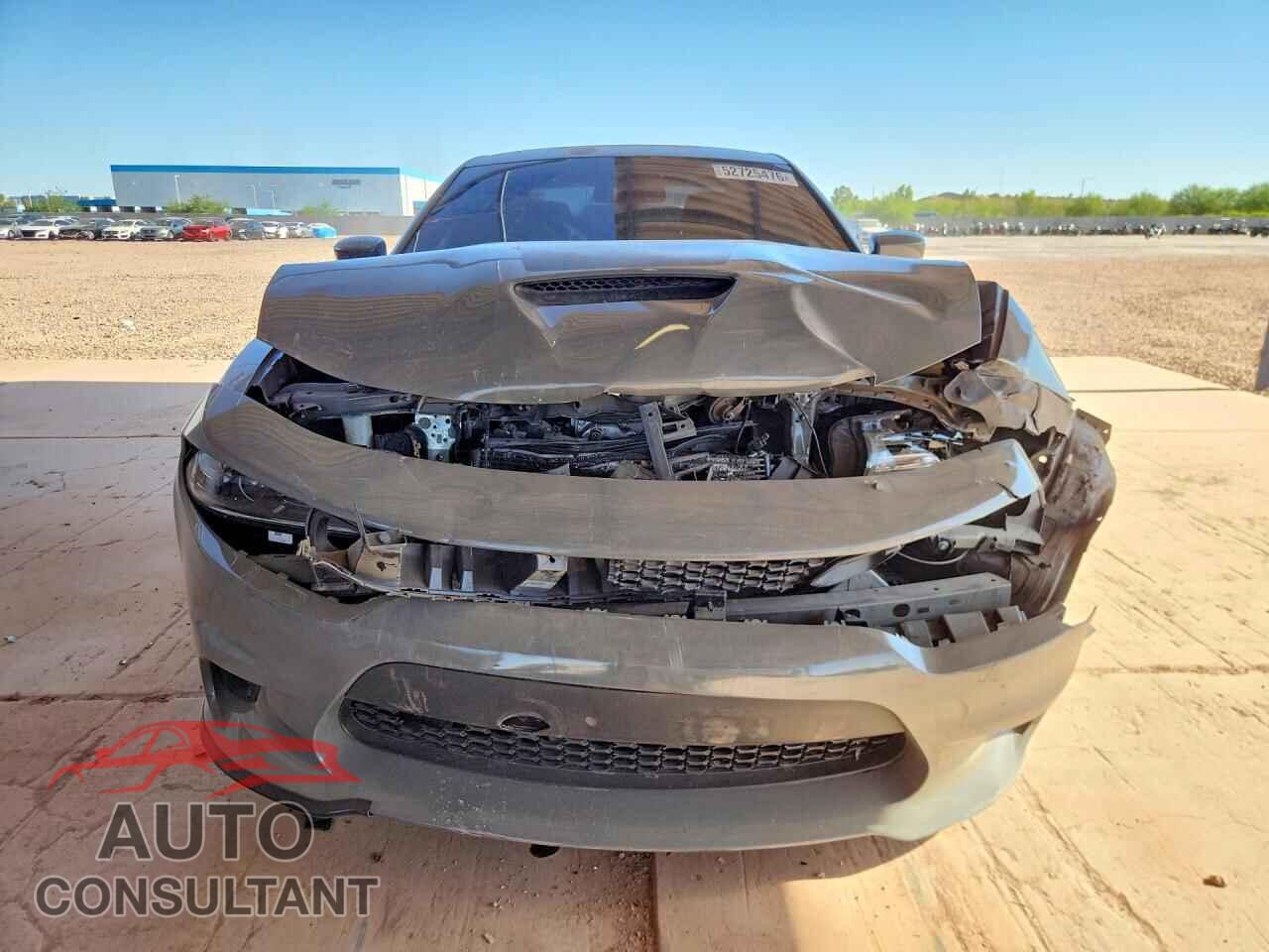 DODGE CHARGER 2019 - 2C3CDXGJ2KH686845