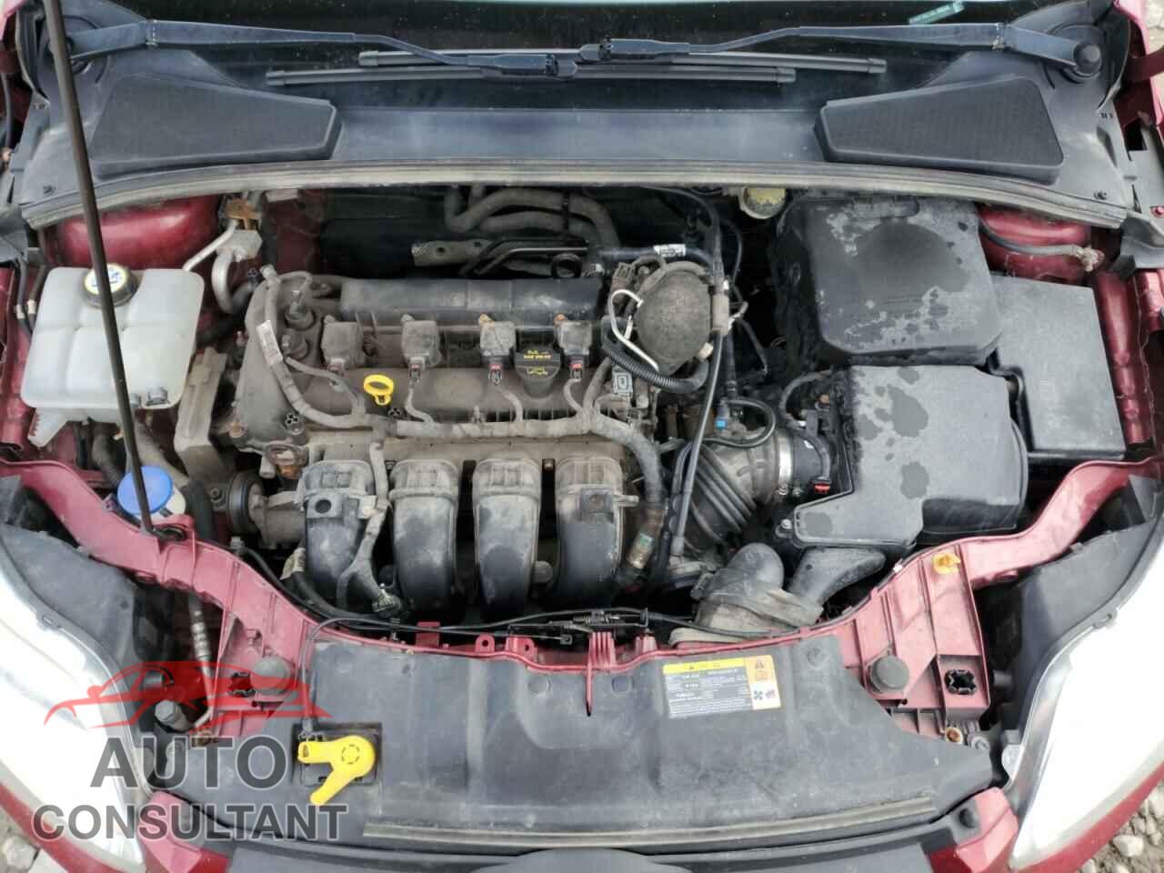 FORD FOCUS 2013 - 1FADP3K21DL106545