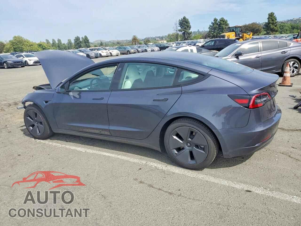 TESLA MODEL 3 2021 - 5YJ3E1EA8MF098045