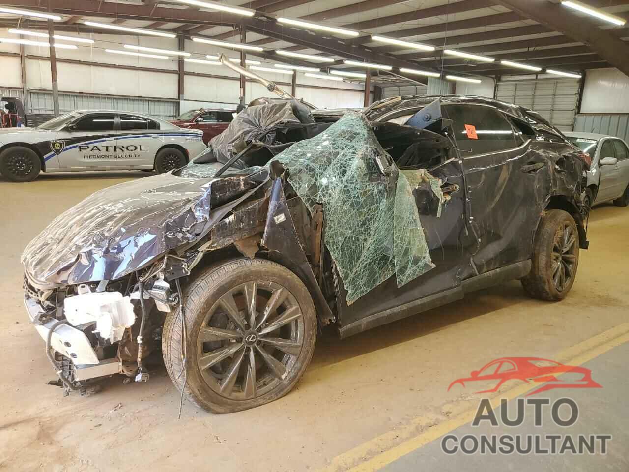 LEXUS RX350 2023 - 2T2BAMCA8PC033728