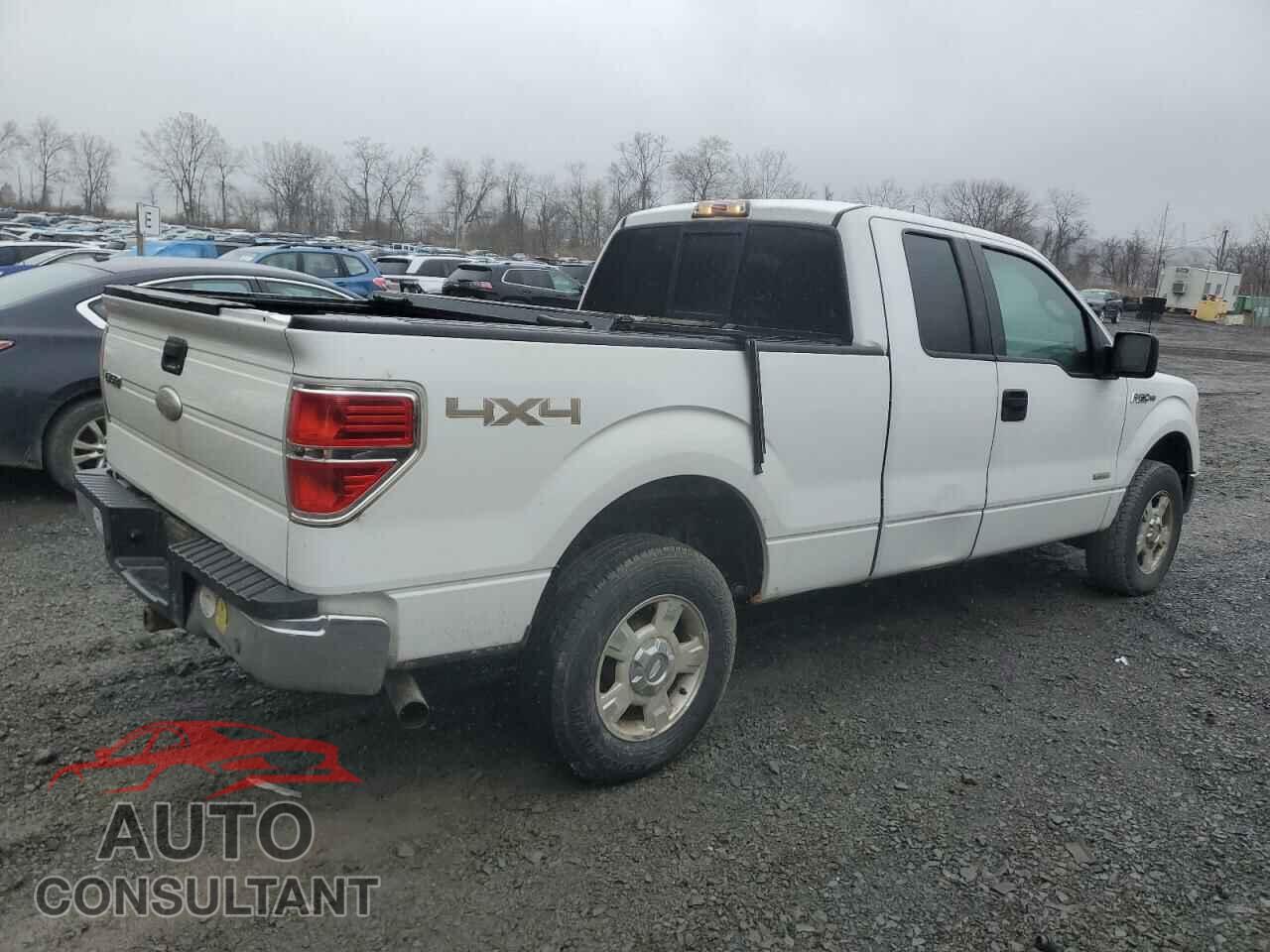 FORD F-150 2011 - 1FTFX1ET6BFC01965
