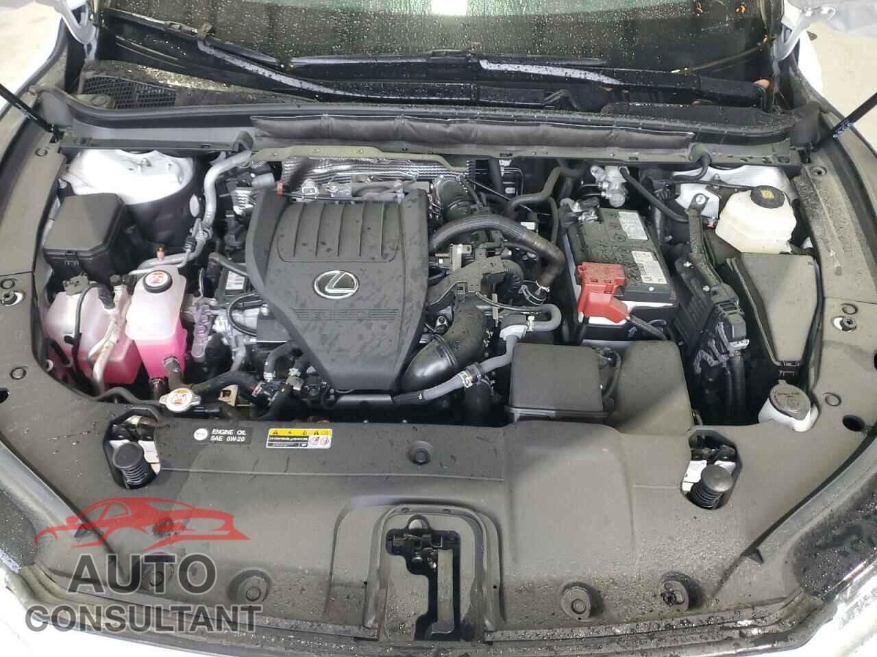 LEXUS RX350 2024 - 2T2BAMBA8RC044278