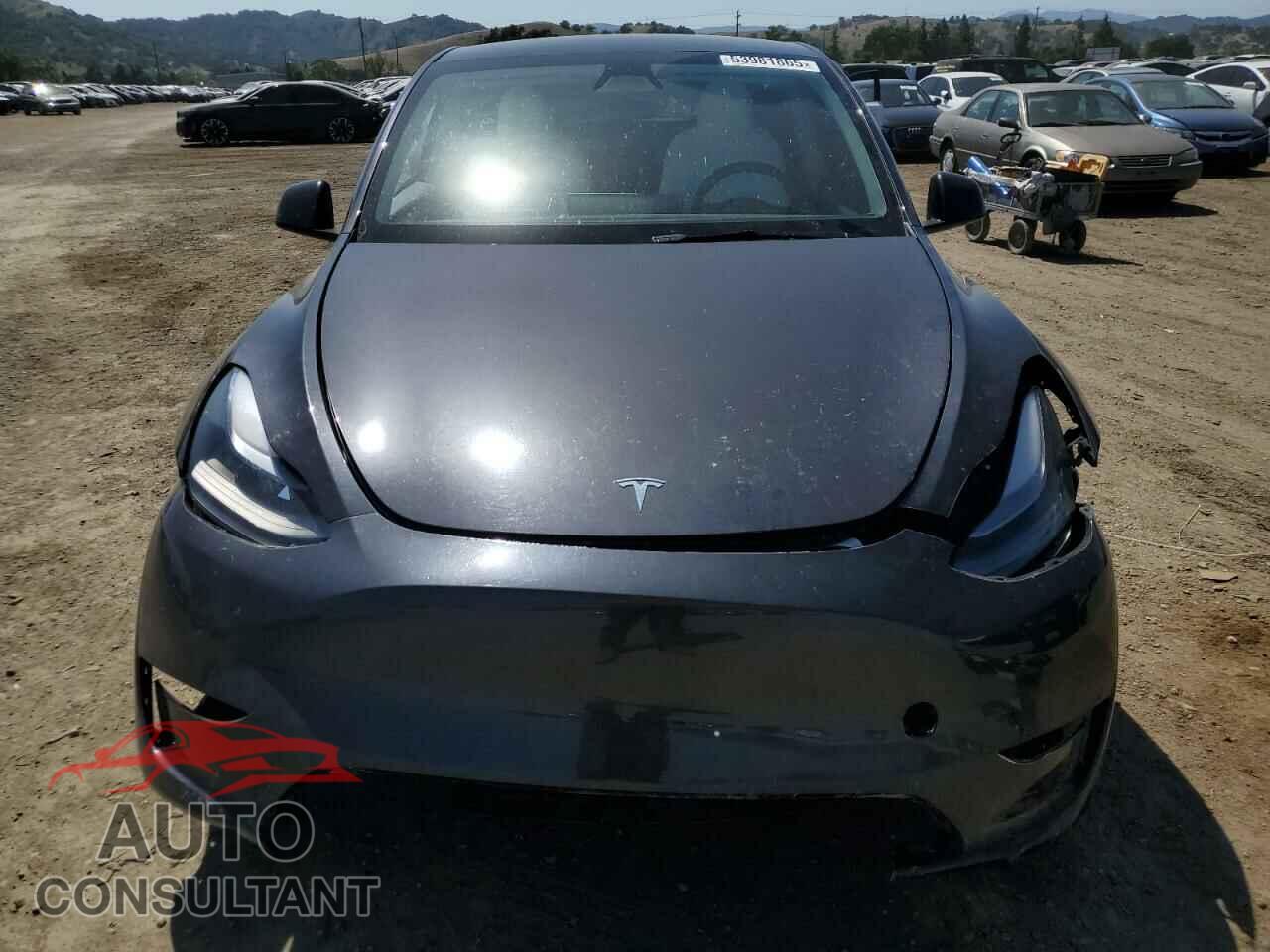 TESLA MODEL Y 2024 - 7SAYGDEF0RF024089