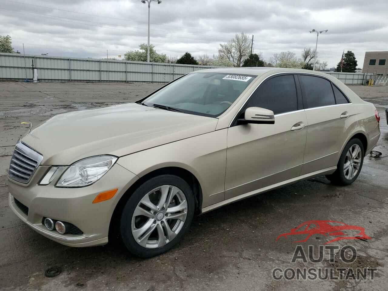 MERCEDES-BENZ E-CLASS 2010 - WDDHF8HB3AA090204