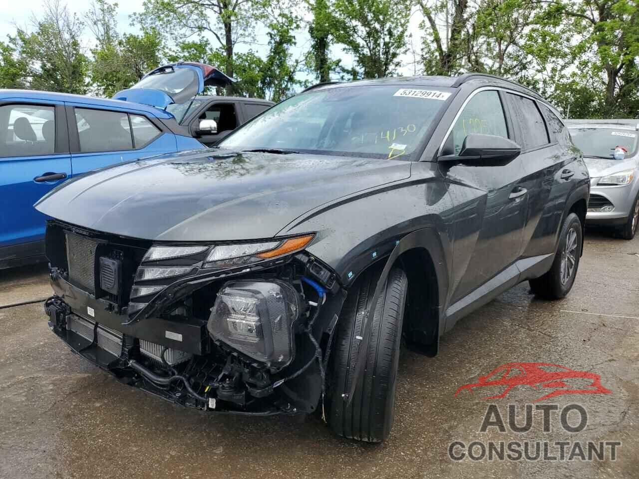 HYUNDAI TUCSON 2022 - KM8JBCA16NU052896