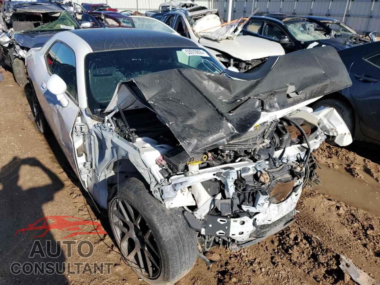 DODGE CHALLENGER 2019 - 2C3CDZBT6KH521580
