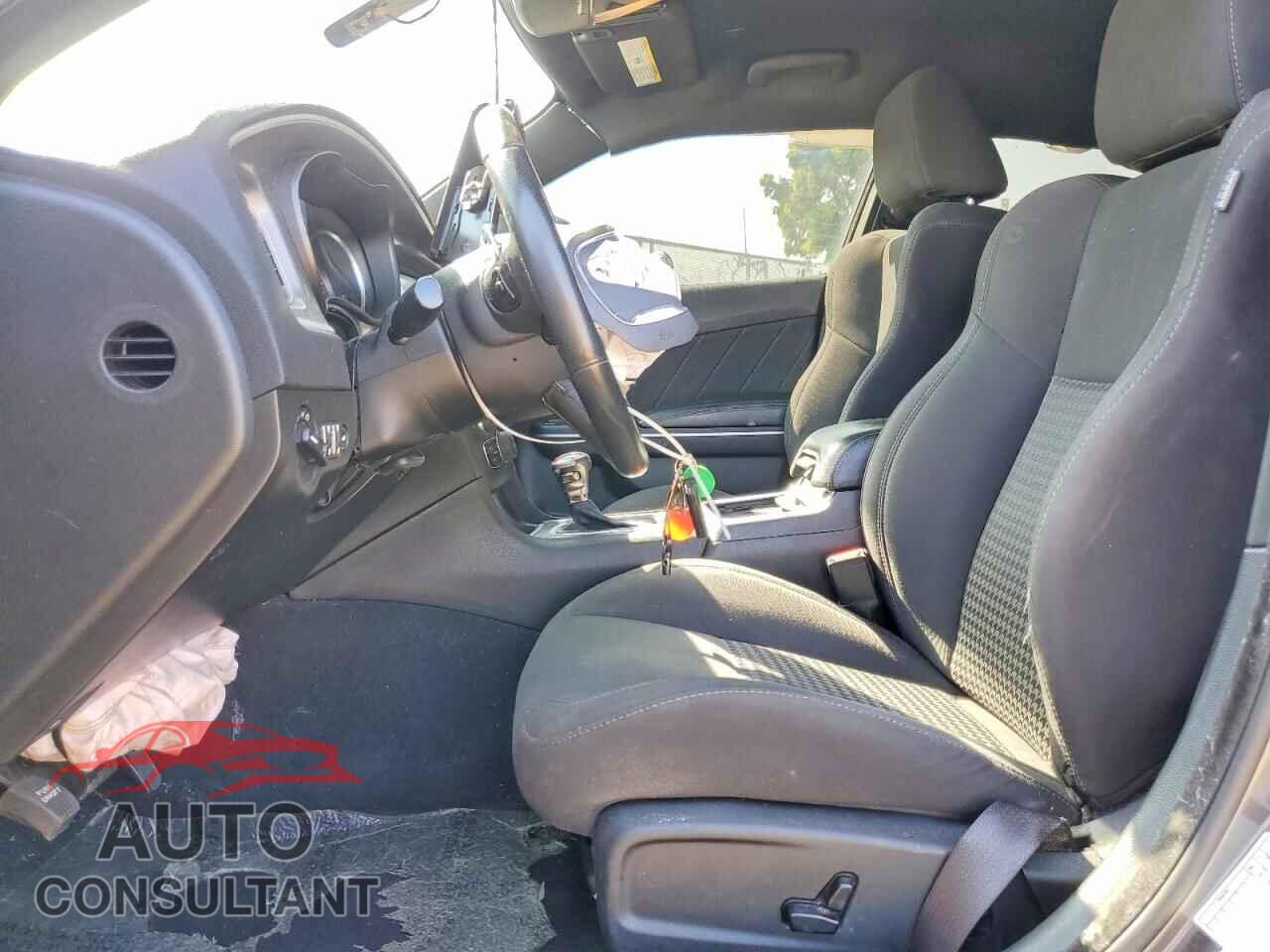 DODGE CHARGER 2019 - 2C3CDXCTXKH633401