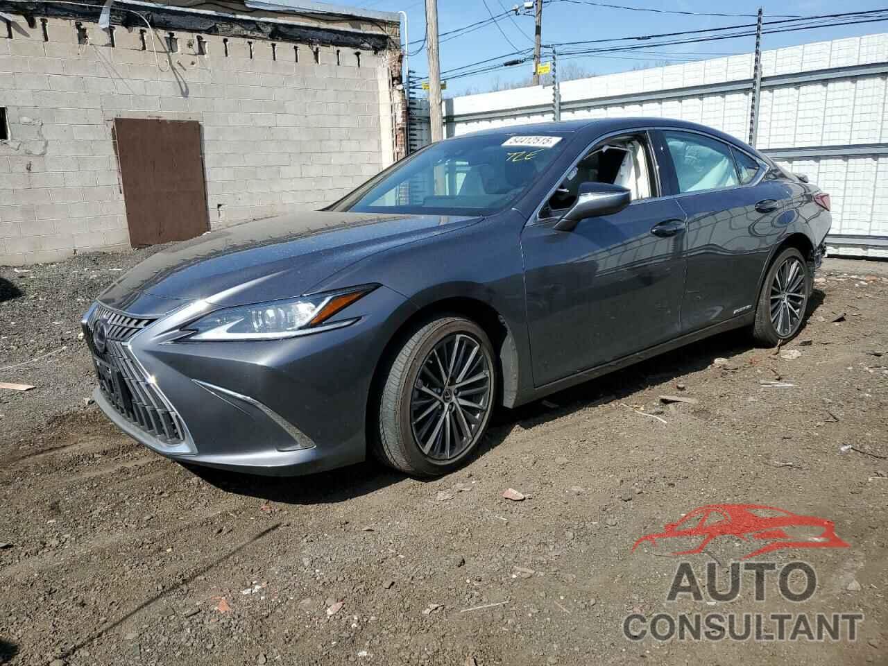 LEXUS ES300 2022 - 58ADA1C16NU025675