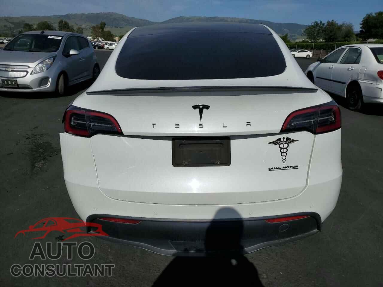 TESLA MODEL Y 2021 - 5YJYGAEE1MF305491
