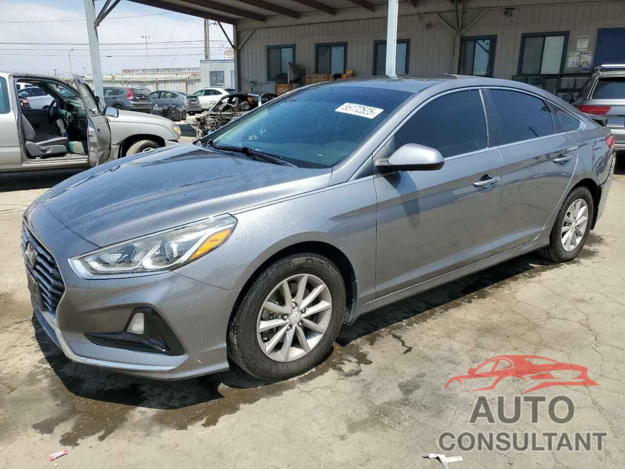 HYUNDAI SONATA 2019 - 5NPE24AF9KH732109