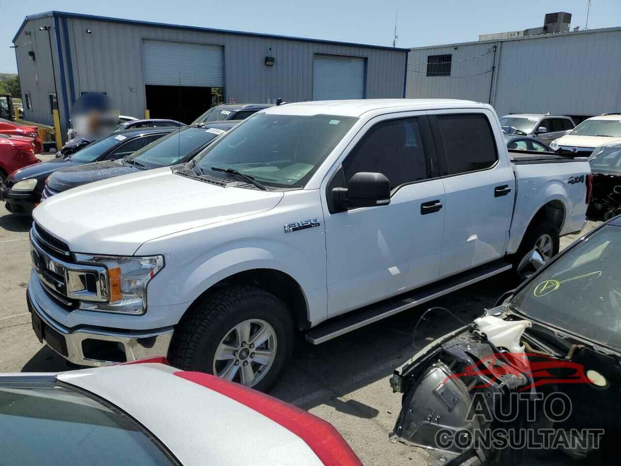 FORD F-150 2019 - 1FTEW1EP9KKC36217