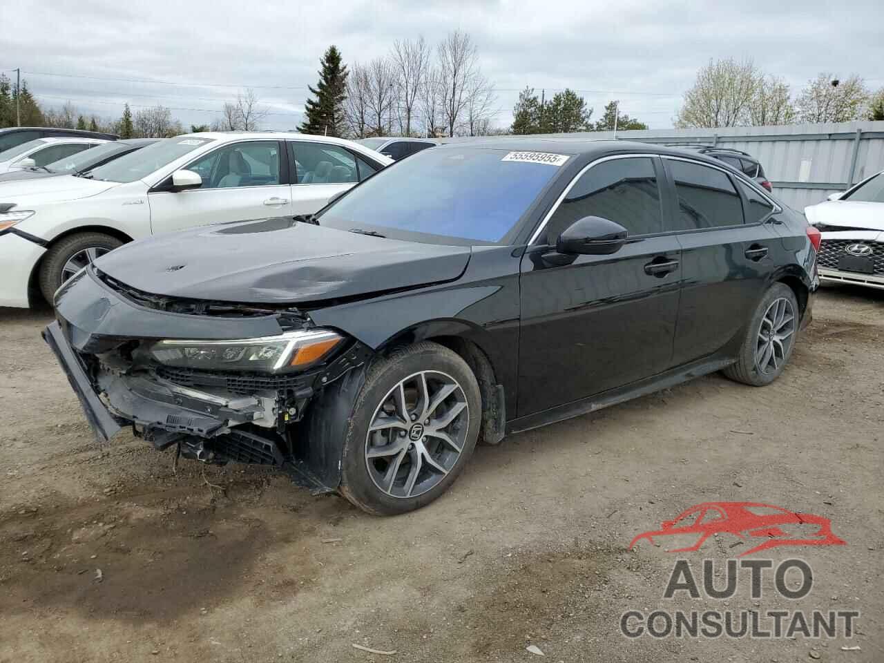 HONDA CIVIC 2024 - 2HGFE2F34RH113615